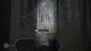 Duskwood | Mystery edit