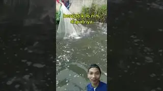 Dapat ikan sebanyak ini 🤔 #viralvideo #ikan #shortvideos #mancing #fishing