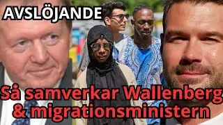Så samarbetar migrationsministern med Wallenberg för att ÖKA INVANDRINGEN
