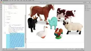 Web Design Basics | Dreamweaver | Creating Interactive Hotspots on an Image