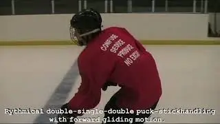 Dr  Smushkin's Agile hockey skills with stick & puck 96 skills