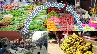 Narsingdi Jailkhanar mor||ভেলানগর কাঁচা বাজার ||Velanagor Bazar Narsingdi#velanagorbazar #jailkhana