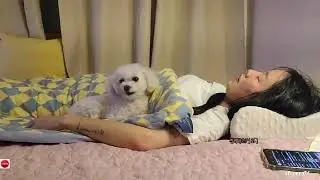 👑 The Queen of Snore Is Back! 😴💤 You Won’t Believe This Snoring! 😂🔥