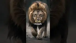 Top 10 fastest animals in the world #top10 #animals #viral #shorts
