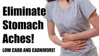 Eliminate stomach aches low carb carnivore