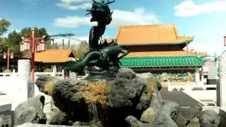 1 day Port Aventura theme park with BLACKMAGIC camera