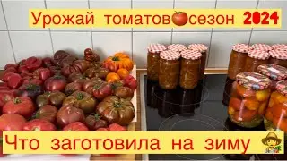 ЧТО ЗАГОТОВИЛА НА ЗИМУ 👩‍🌾 УРОЖАЙ ТОМАТОВ 🍅👩‍🌾2024