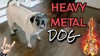 DOG REMIX! HEAVY METAL