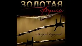 Сольный концерт в Литера Б