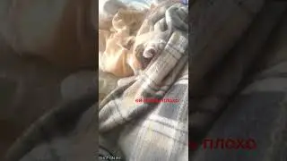 Надежда не потеряна