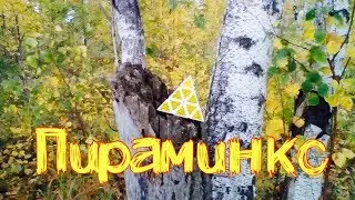 ПИРАМИНКС - обзор головоломки