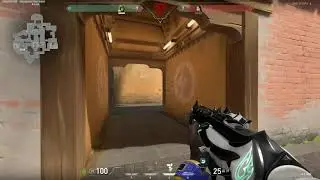 spider senses