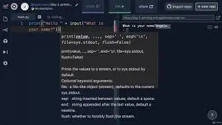 Python Basics - What is an Input function?