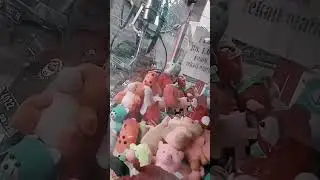 VIRALLL kaget DAPET ULAR 🐍🐍 di mesin capit kampung