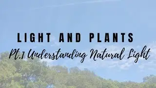 Light and Plants - Part 1: Understanding Natural Light