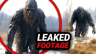Disturbing Trail Cam Footage The Gov't Doesn't Want You To See