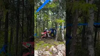 Мишаня страдает 🫣