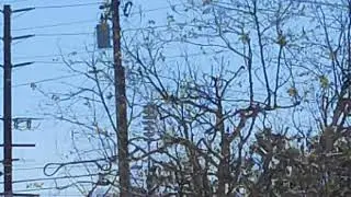 TRC Siren Test, Torrance, CA 4/3/24