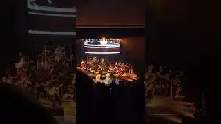 Симфоническое Кино. Звезда по имени Солнце. (Кострома 2023)