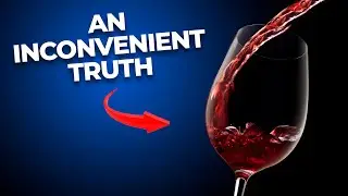 You May Never Drink ALCOHOL Again After Watching This!