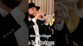 Sârba de la Botoșani Radu Arap #nuntamoldova #raduarap #nunta #nunti #lautarie #muzica #nunta2024