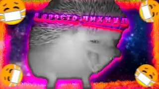 ОН ПРОСТО ЧИХНУЛ И ВСЕ УПАЛИ!