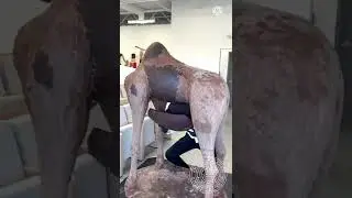 Amazing chocolate 🍫 giraffe 🦒🦒 / Make A Chocolate Giraffe / real talent #shorts