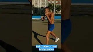 Бой с тенью на солнце.