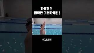 자유형의 정확한 기본자세!!!