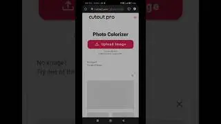 Convert Black and white photo to Colour Photo 