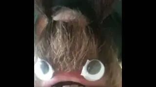 Upside down face ponytails "Weird"