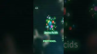 Why are peptides messengers? #peptides #peptide #biohack #biohackingsecrets