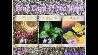 Weekly Card Reveal! Discover Your Intuitive Message & Chakra Healing Guidance 🌿✨