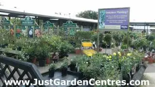 Webbs of Wychbold Garden Centre