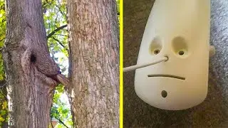 Photos You Have To Look At Twice To Understand