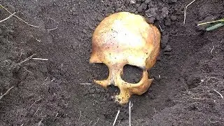 ШОК!!! НАШЕЛ ЧЕРЕП В ОГОРОДЕ!!!