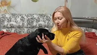 Украина. Дома столько работы,клею обои.Где Гоша и Василий? Ответы на вопросы.