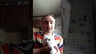 Неожиданная развязка 🤣 
