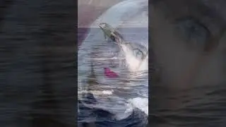 а ты знаешь что дельфины умирают во сне