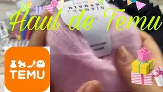🔥MEGA HOUL DE TEMU‼️🛍️🎁