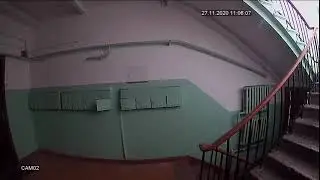 Уборщицы подъездов , которых мы заслужили