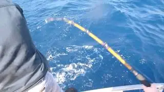 Benny's Bonito