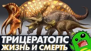 Triceratops – What's Wrong With It? [OVERRATED]