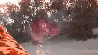 cheb zahouani kounou 5àwa الشاب الزهواني