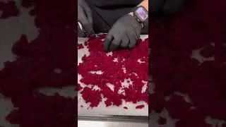 POLVO DE REMOLACHA