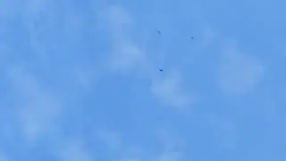 Ижевские голуби. Полёты 30.06.24.