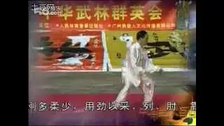 Chen Taijiquan. Master Zhang Zhijun & Zhang Peng