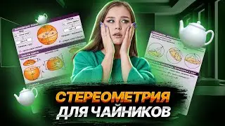 Стереометрия для чайников: всё просто! | ЕГЭ по базовой математике | Умскул