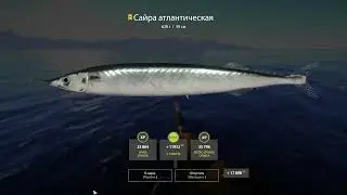 Русская рыбалка 4 Норвежское море (Сайра атлантическая)