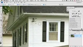 Photoshop Live brush Preview